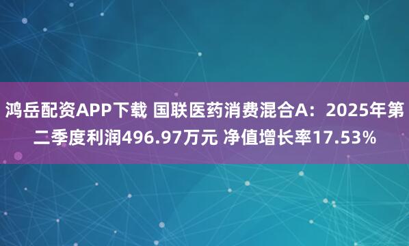 鸿岳配资APP下载 国联医药消费混合A：2025年第二季度利润496.97万元 净值增长率17.53%
