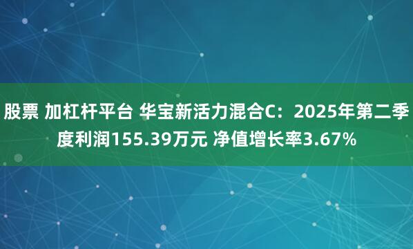 股票 加杠杆平台 华宝新活力混合C：2025年第二季度利润155.39万元 净值增长率3.67%