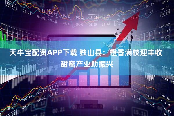 天牛宝配资APP下载 独山县：橙香满枝迎丰收 甜蜜产业助振兴