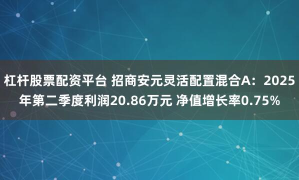 杠杆股票配资平台 招商安元灵活配置混合A：2025年第二季度利润20.86万元 净值增长率0.75%