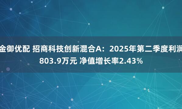 金御优配 招商科技创新混合A：2025年第二季度利润803.9万元 净值增长率2.43%