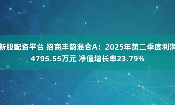新股配资平台 招商丰韵混合A：2025年第二季度利润4795.55万元 净值增长率23.79%