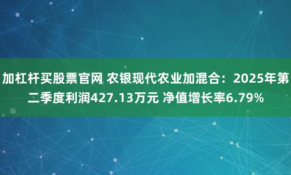 加杠杆买股票官网 农银现代农业加混合：2025年第二季度利润427.13万元 净值增长率6.79%