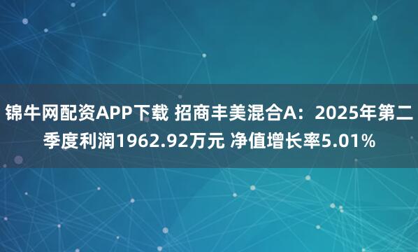 锦牛网配资APP下载 招商丰美混合A：2025年第二季度利润1962.92万元 净值增长率5.01%