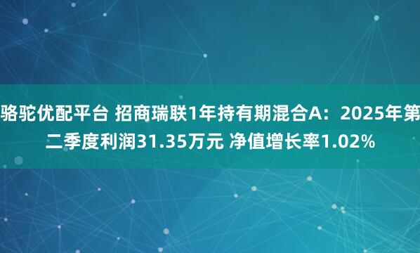 骆驼优配平台 招商瑞联1年持有期混合A：2025年第二季度利润31.35万元 净值增长率1.02%